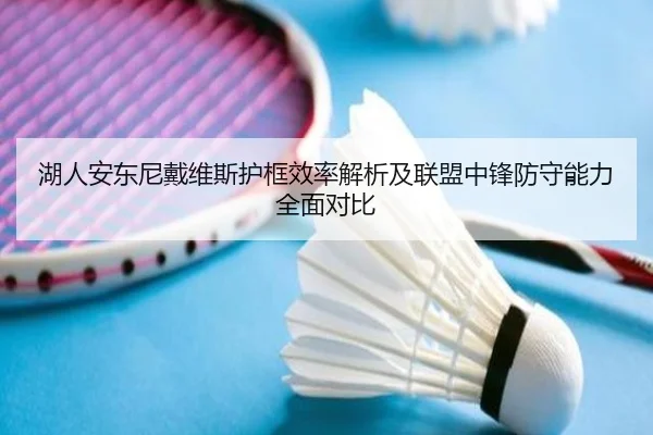 湖人安东尼戴维斯护框效率解析及联盟中锋防守能力全面对比（kaiyun）